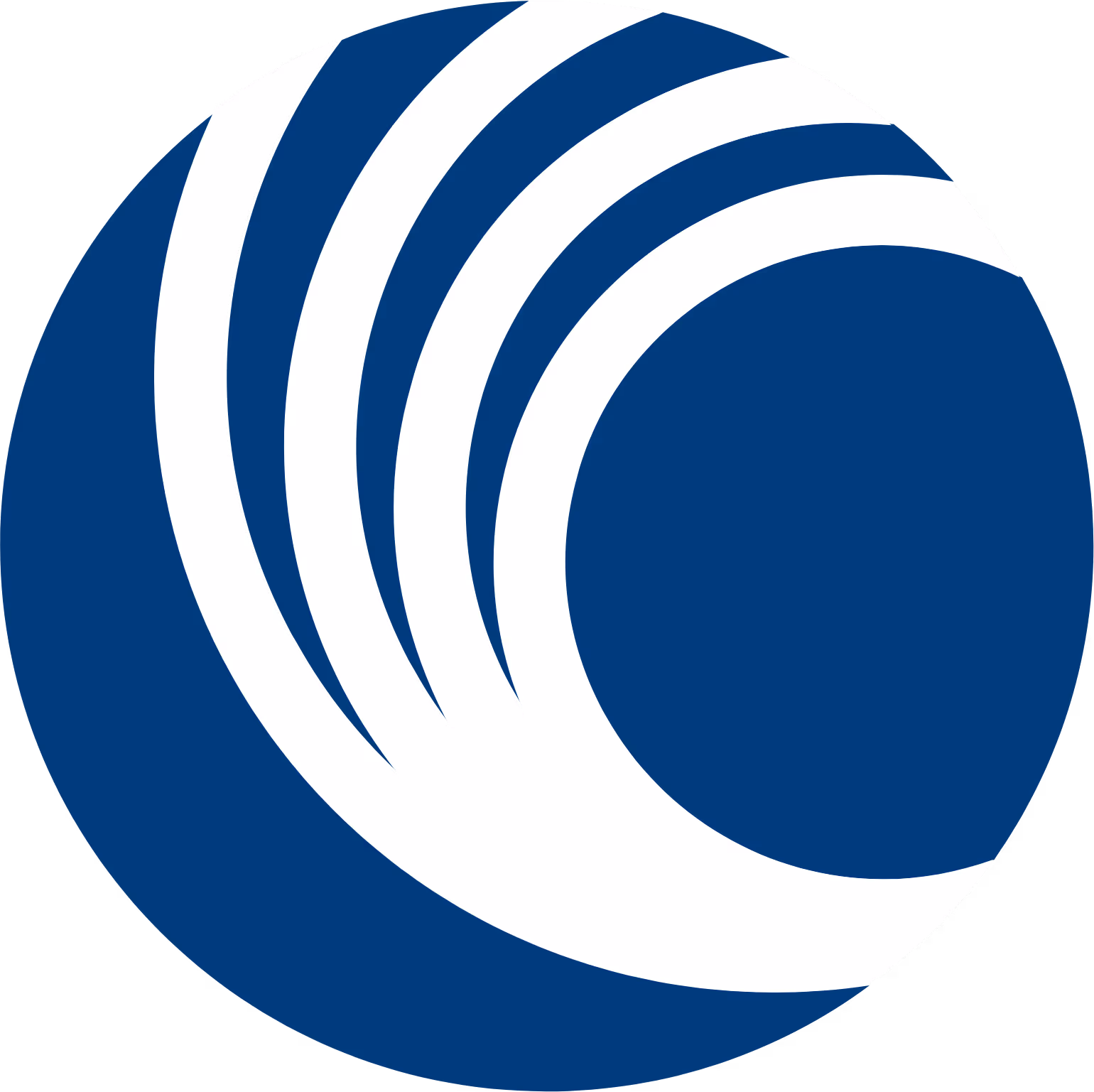 Cambium
