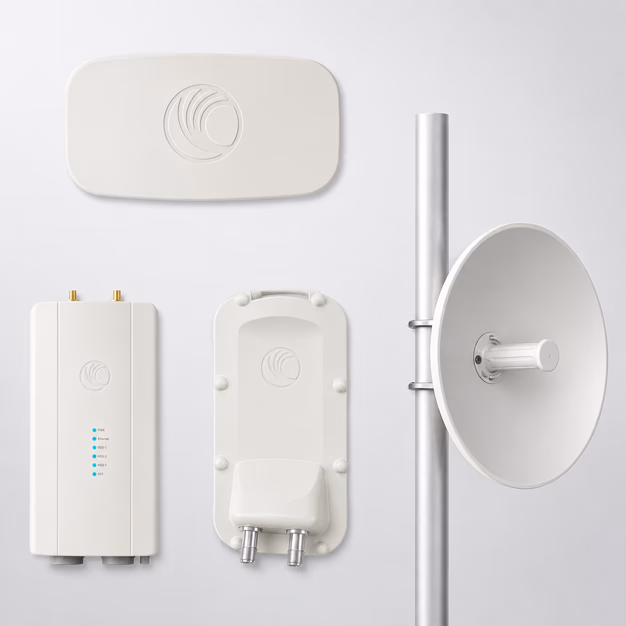 Cambium image 2