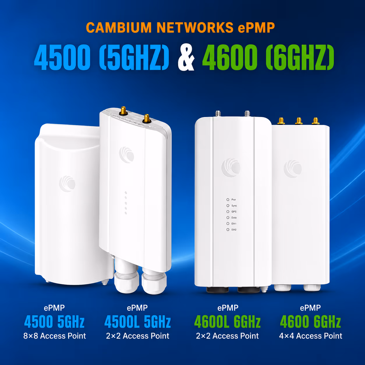 Cambium image 3
